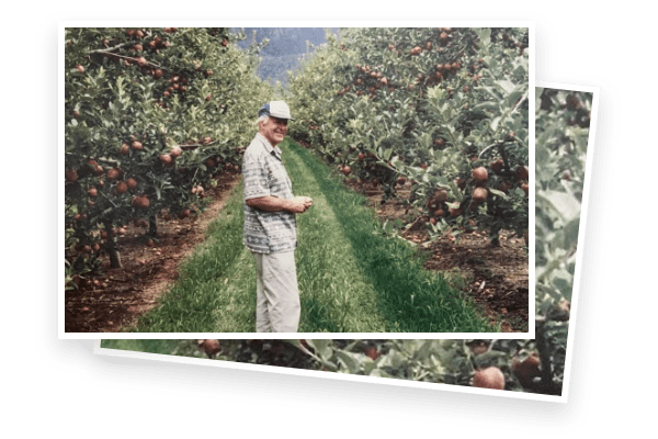 Keith Nightingale Keith Nightingale in the orchard