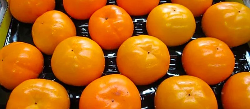 Orange Fuyu persimmons in a tray
